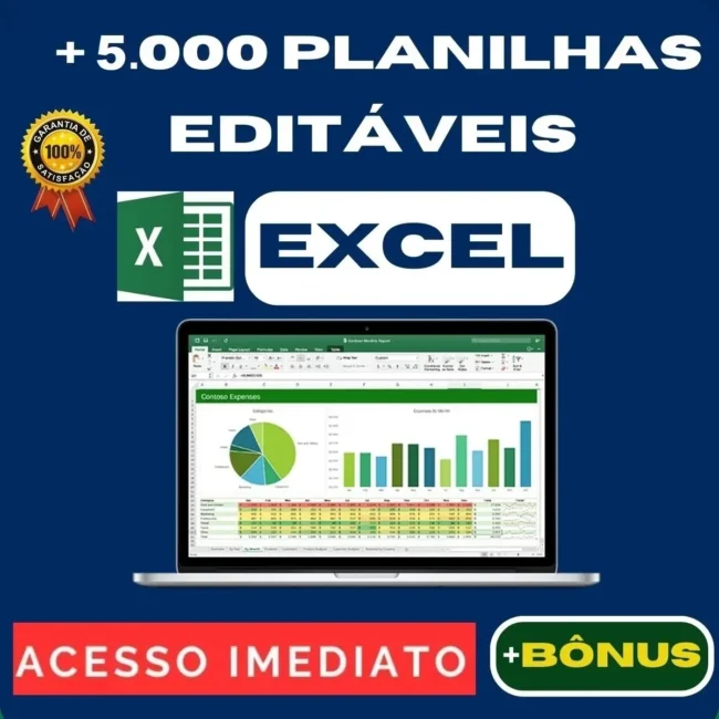 Controle Financeiro Diario Mensal Anual