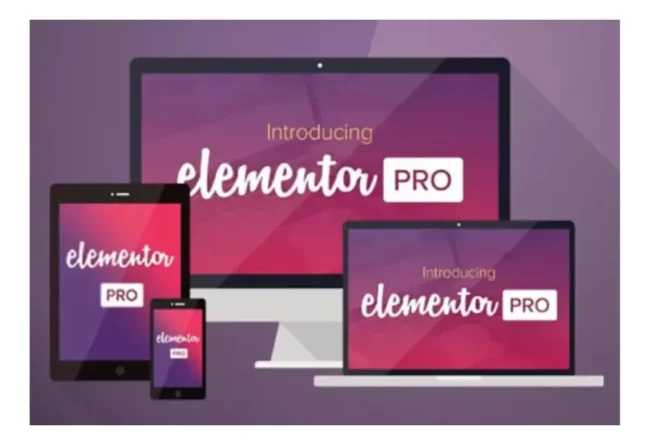 Elementor Pro Oficial Licença Vitalicia