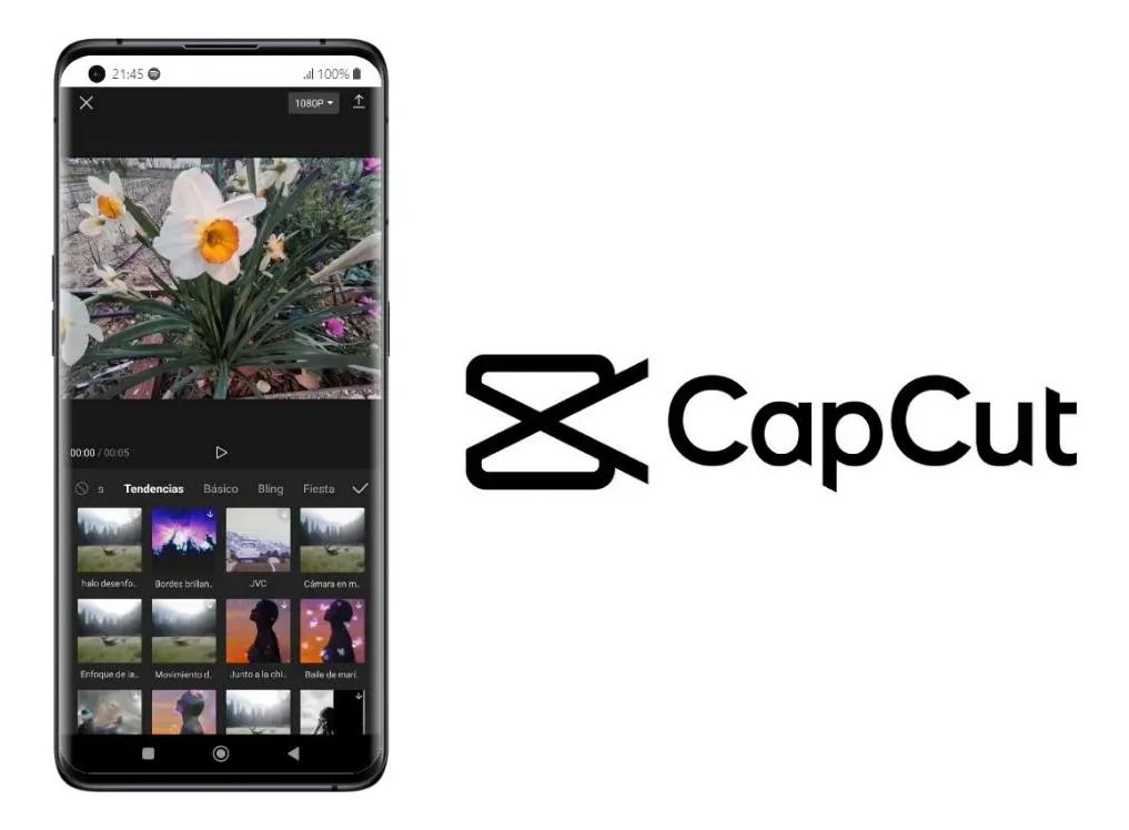 Pack CapCut Pro 12 Meses + Canva Pro + Mega Pack + Suporte