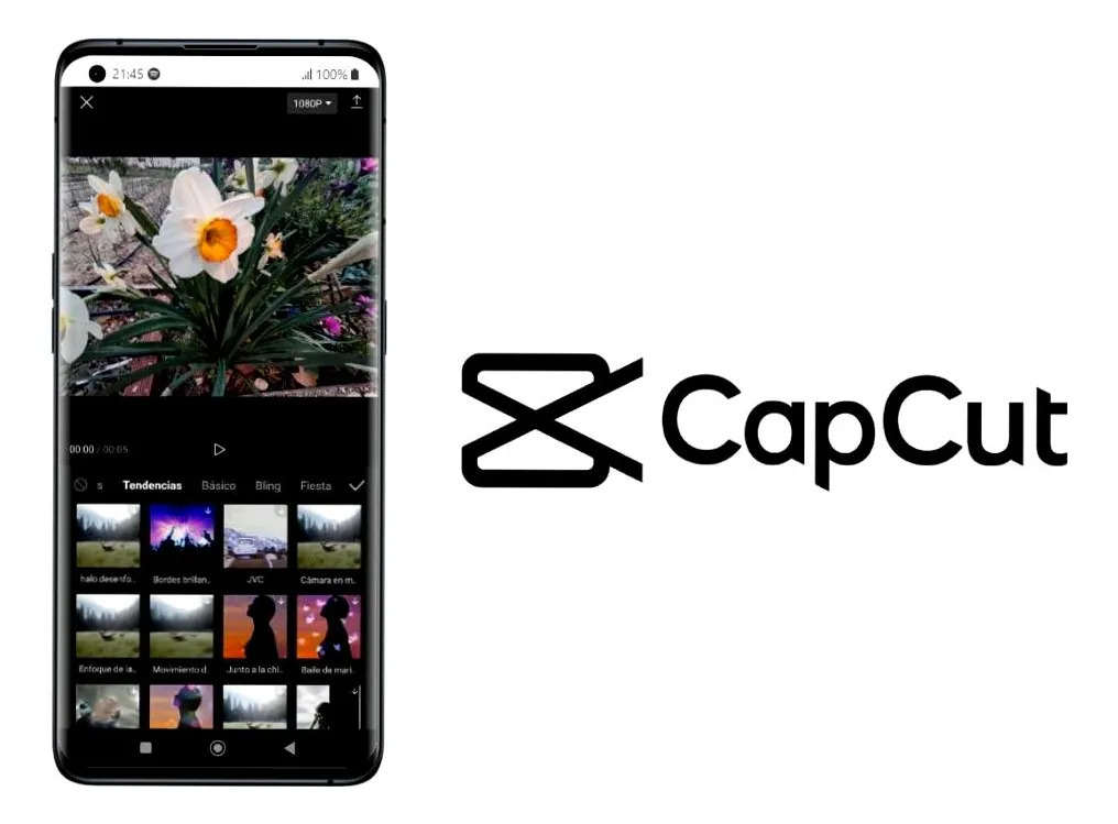 CapCut Pro 12 Meses + Mega Pack Vitalício + Design 12 Meses
